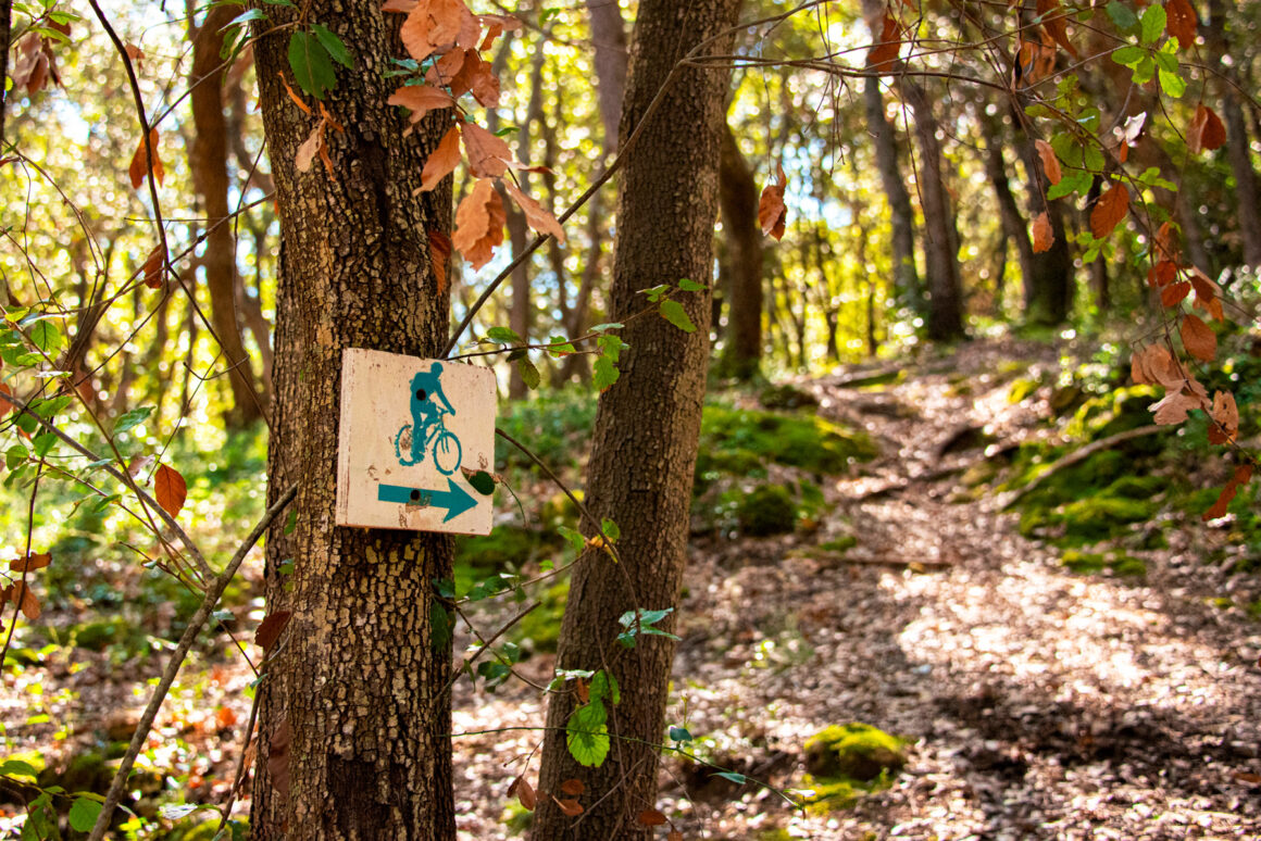 Forêt de la Valmasque